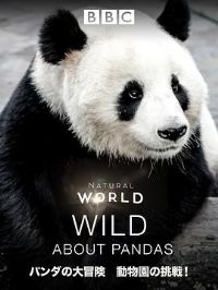 ���ϴ���è