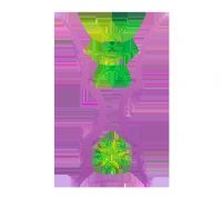 �������ޱ� ӡ��vsɳ�ذ�����20250809