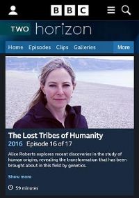 ��ƽ��ϵ�У�ʧ��Ĳ���