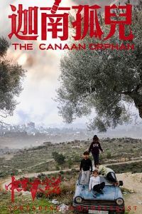 �ж��󱦼�2�����Ϲ¶�