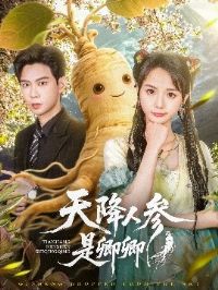 �콵�˲�������