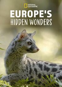 ŷ�������䱦��һ��