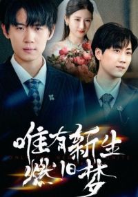 Ψ������ȼ����