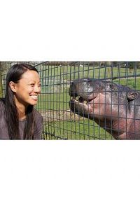 ����������������