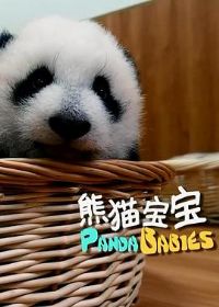 ��è����